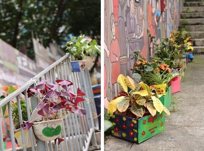 居民自組推出Go Green 計劃，在社區放置「共享花卉」，美化社區環境。